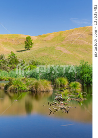 Pekapeka Regional Park, a protected wetland area in the Hawke's Bay region of New Zealand 135638482