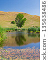 Pekapeka Regional Park, a protected wetland area in the Hawke's Bay region of New Zealand 135638486
