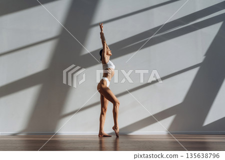 Daylight goes into the room. Beautiful young woman with slim body type is indoors Daylight goes into the room. Beautiful young woman with slim body type is indoors 135638796