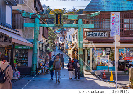 Bronze torii gate and worshippers at Enoshima Shrine (Kanagawa Prefecture) 135639342