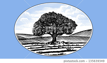 Beautiful rustic landscape with big old oak tree in the meadow. hills and fields for eco products Beautiful rustic landscape with big old oak tree in the meadow. hills and fields for eco products 135639349
