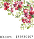 Watercolor corner border bright red berries and green stems on white background. Superfood northern berries artwork for food packaging, recipe card, or nature related design. Lingonberry frame card. 135639497