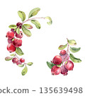 Watercolor hand drawn lingonberry and leaf with dew drop illustration isolated on white. Frame of fresh red berries on branch. Botanical element for greeting card design or food packaging. 135639498