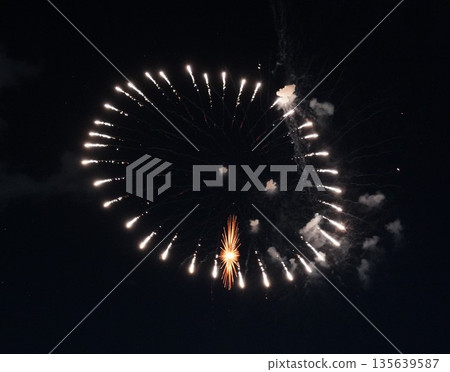 信州戶倉神山田溫泉夏季煙火祭(新煙火) 信州戶倉神山田溫泉夏季煙火祭(新煙火) 135639587