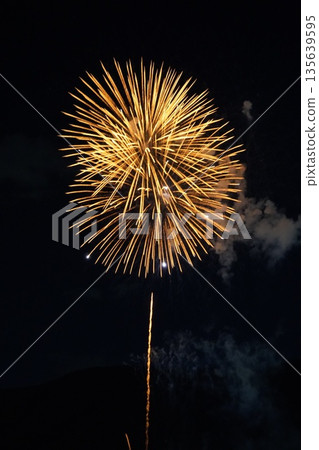 信州戶倉神山田溫泉夏季煙火祭(新煙火) 信州戶倉神山田溫泉夏季煙火祭(新煙火) 135639595