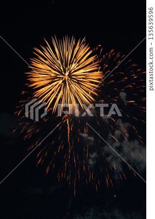 信州戶倉神山田溫泉夏季煙火祭（新煙火） 135639596