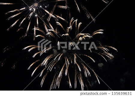 Shinshu Togura Kamiyamada Onsen Summer Fireworks Festival (New Fireworks) Shinshu Togura Kamiyamada Onsen Summer Fireworks Festival (New Fireworks) 135639631