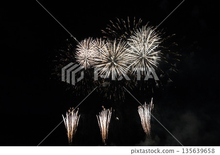 Shinshu Togura Kamiyamada Onsen Summer Fireworks Festival (New Fireworks) Shinshu Togura Kamiyamada Onsen Summer Fireworks Festival (New Fireworks) 135639658
