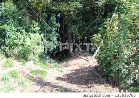 Oyazu Castle 135639766