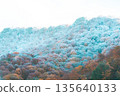 Frozen autumn leaves on the mountain 135640133