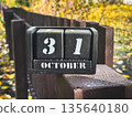 Wooden calendar with October 31 in an autumn setting. 135640180