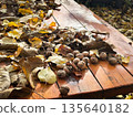 Walnuts and autumn leaves scattered on a rustic wooden table. 135640182