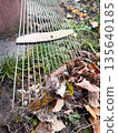 Rake gathering fallen leaves on grass in autumn setting. 135640185