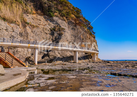 江之島（神奈川縣）岩橋橋附近的海岸線 135640271