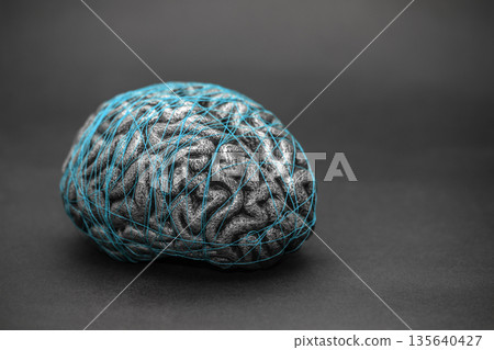 Human brain entwined with blue thread. Concept of neurology, nervous system or human mind. Human brain entwined with blue thread. Concept of neurology, nervous system or human mind. 135640427