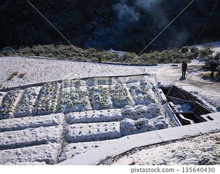 Snow-covered fields and orchards Snow-covered fields and orchards 135640430