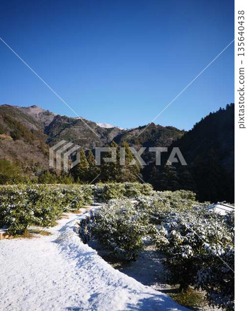 Snow-covered fields and orchards 135640438