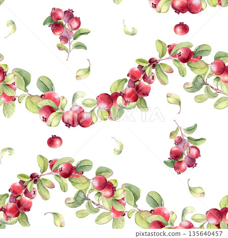 Seamless watercolor pattern of red berries on wavy branches isolated on white. Botanical background for paper, wallpaper, textile, craft, packaging. Nature repeat with lingonberry for scrapbooking. Seamless watercolor pattern of red berries on wavy branches isolated on white. Botanical background for paper, wallpaper, textile, craft, packaging. Nature repeat with lingonberry for scrapbooking. 135640457