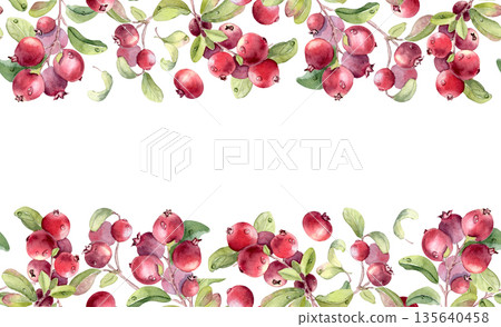 Watercolor cranberry plant seamless border with dew drops isolated on white. Lingonberry branches illustration repeat design for greeting card. Summer botanical illustration with space for text. Watercolor cranberry plant seamless border with dew drops isolated on white. Lingonberry branches illustration repeat design for greeting card. Summer botanical illustration with space for text. 135640458