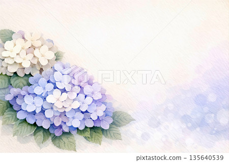 精美的繡球花插畫桌布 精美的繡球花插畫桌布 135640539