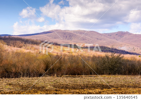 early spring rural landscape in carpathian mountains. beautiful view of countryside scenery with field on a sunny day in march. carbon neutrality and csr visual. esg report greenhouse gas reduction early spring rural landscape in carpathian mountains. beautiful view of countryside scenery with field on a sunny day in march. carbon neutrality and csr visual. esg report greenhouse gas reduction 135640545