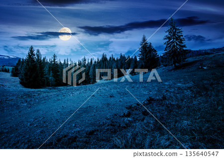 beautiful springtime weather in mountains at night. spruce forest on a grassy meadow in full moon light. alpine landscape with some clouds on dark sky. background for fake news or conspiracy concept beautiful springtime weather in mountains at night. spruce forest on a grassy meadow in full moon light. alpine landscape with some clouds on dark sky. background for fake news or conspiracy concept 135640547