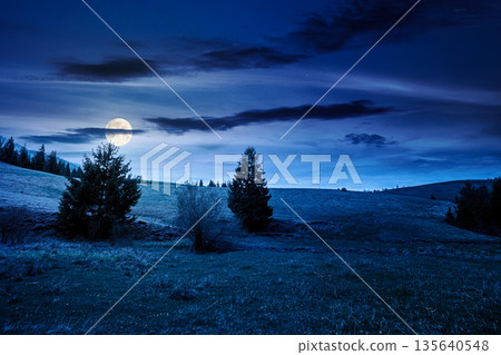 rolling hill with green field under cloudy sky in spring at night. scenic view countryside landscape mountains in full moon light. background for fake news or conspiracy concept. silhouette of trees 135640548