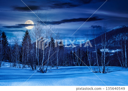 winter landscape at night. deciduous forest on snow covered hill in full moon light. beautiful scenery of park under blue sky for travel background. backdrop for fiction art or mystery concepts winter landscape at night. deciduous forest on snow covered hill in full moon light. beautiful scenery of park under blue sky for travel background. backdrop for fiction art or mystery concepts 135640549