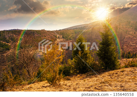 carpathian mountains in early spring at sunset. tree stumps on rolling hills in evening light. forest clearing. deforestation landscape under blue sky. hope, expectation, new beginning, bright future carpathian mountains in early spring at sunset. tree stumps on rolling hills in evening light. forest clearing. deforestation landscape under blue sky. hope, expectation, new beginning, bright future 135640558