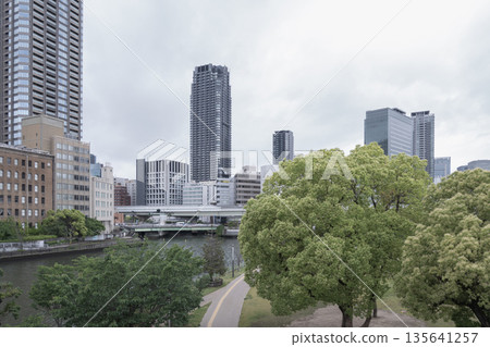 城市公園裡的樹木與摩天大樓-綠地與城市區域的共存 城市公園裡的樹木與摩天大樓-綠地與城市區域的共存 135641257