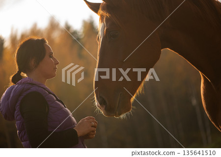 Middle Aged Woman Facing Horse In Warm Sunset Light Middle Aged Woman Facing Horse In Warm Sunset Light 135641510