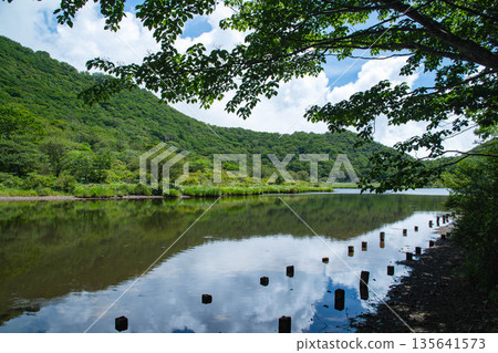解放夏天 解放夏天 135641573