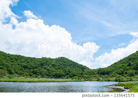解放夏天 135641575