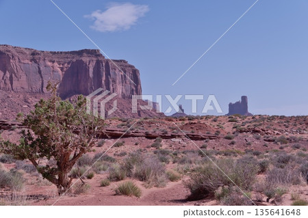 View north from the 4.2km point on the Wildcat Trail in Monument Valley 135641648