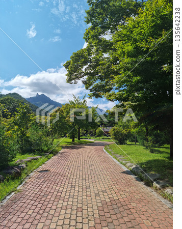This is a walking trail in Seoraksan National Park. 135642238