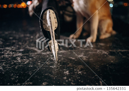 Night time. Man with Akita Inu dog is on the ice with skates in winter Night time. Man with Akita Inu dog is on the ice with skates in winter 135642331