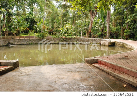 Elephant bathing area (Elephant Safari Park, Bali, Indonesia) Elephant bathing area (Elephant Safari Park, Bali, Indonesia) 135642521