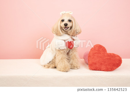 粉紅色包包、心型圖案和馬爾濟犬帕娜 135642523