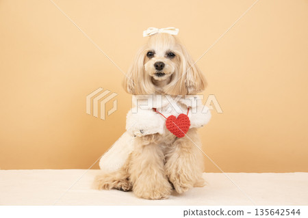 Panna the smiling Malpu with a beige bag Panna the smiling Malpu with a beige bag 135642544