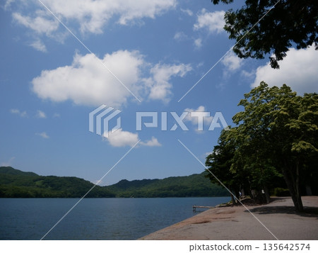 夏天的湖畔 夏天的湖畔 135642574