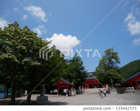 綠色環繞的神社 綠色環繞的神社 135642575