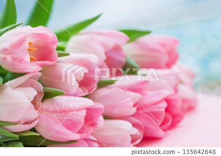 Pink Tulip Bouquet with Dew. Fresh pink tulip bouquet with water droplets on petals, lying on soft surface. Natural background of spring freshness and floral purity 135642648