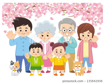 櫻花盛開，一家人穿著春裝 135642936
