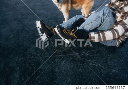 Top view, sitting. Man with Akita Inu dog is on the ice with skates in winter Top view, sitting. Man with Akita Inu dog is on the ice with skates in winter 135643137