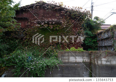 A creepy house overgrown with weeds A creepy house overgrown with weeds 135643753