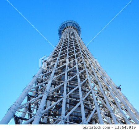 Sky tree looking up from below 135643919