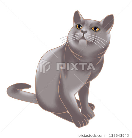 灰貓 135643943