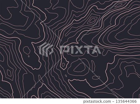 Topographic map background with altitude lines. Abstract terrain topography with elevation levels of the relief Topographic map background with altitude lines. Abstract terrain topography with elevation levels of the relief 135644366