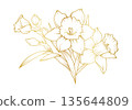 Narcissus lily flowers line art isolated on white background. Luxury daffodil floral golden design elements for invitation, wedding, wallpaper, print template, vector illustration 135644809