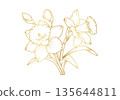Narcissus lily flowers line art isolated on white background. Luxury daffodil floral golden design elements for invitation, wedding, wallpaper, print template, vector illustration 135644811